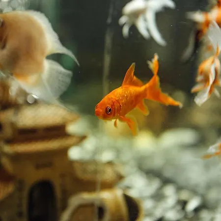 فندق Und Restaurant Golden Village